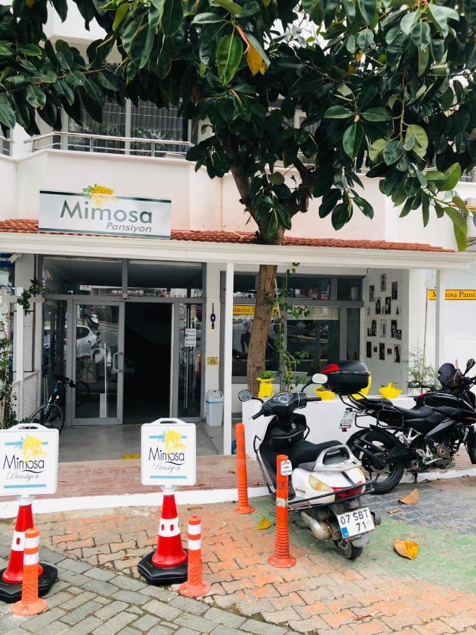 Mimosa Pension Kaş Eksteriør billede