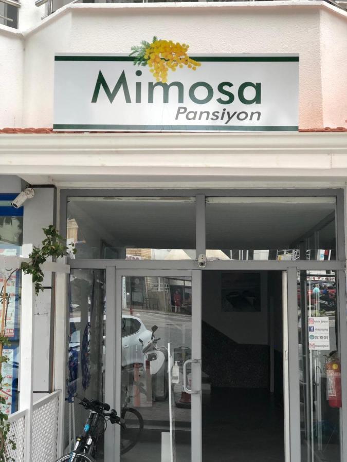 Mimosa Pension Kaş Eksteriør billede